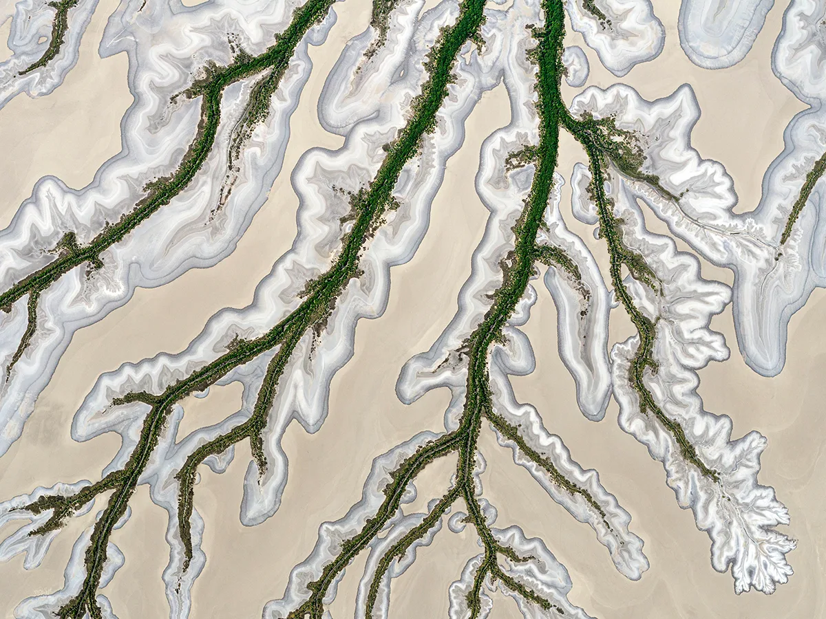 River deltas from above that look like tree branches.