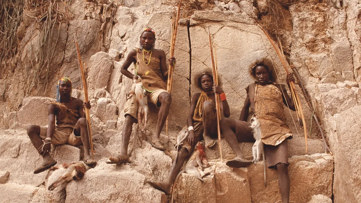 Hadza hunt for food using traditional bows and arrows. Here, they’ve killed several vervet monkeys © Getty